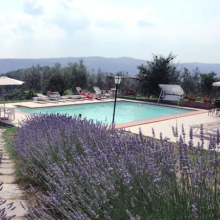 'tommaso' Mit Schwimmbad By Interhome Apartment